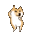 :dogedancin: