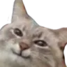 :smug: